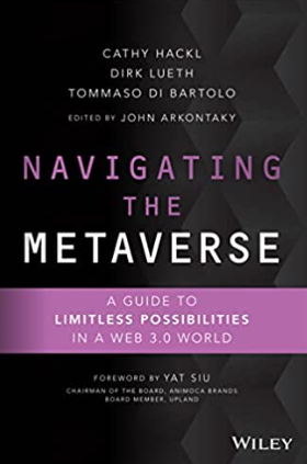 Navigating the Metaverse