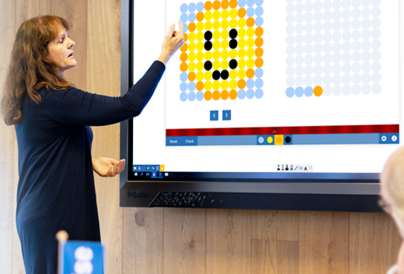 Prowise touch screen